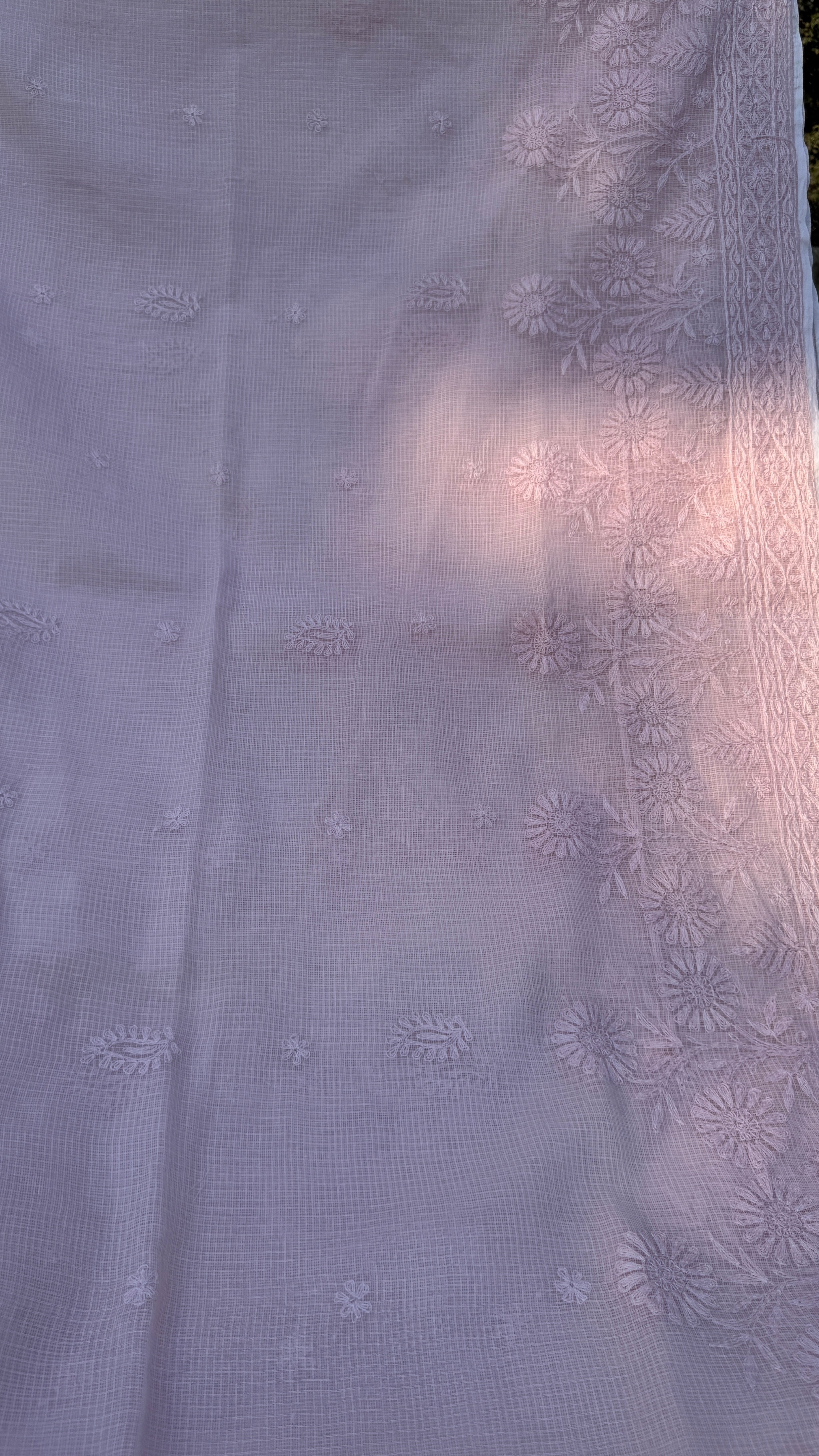 Kota Chikankari saree in Pink