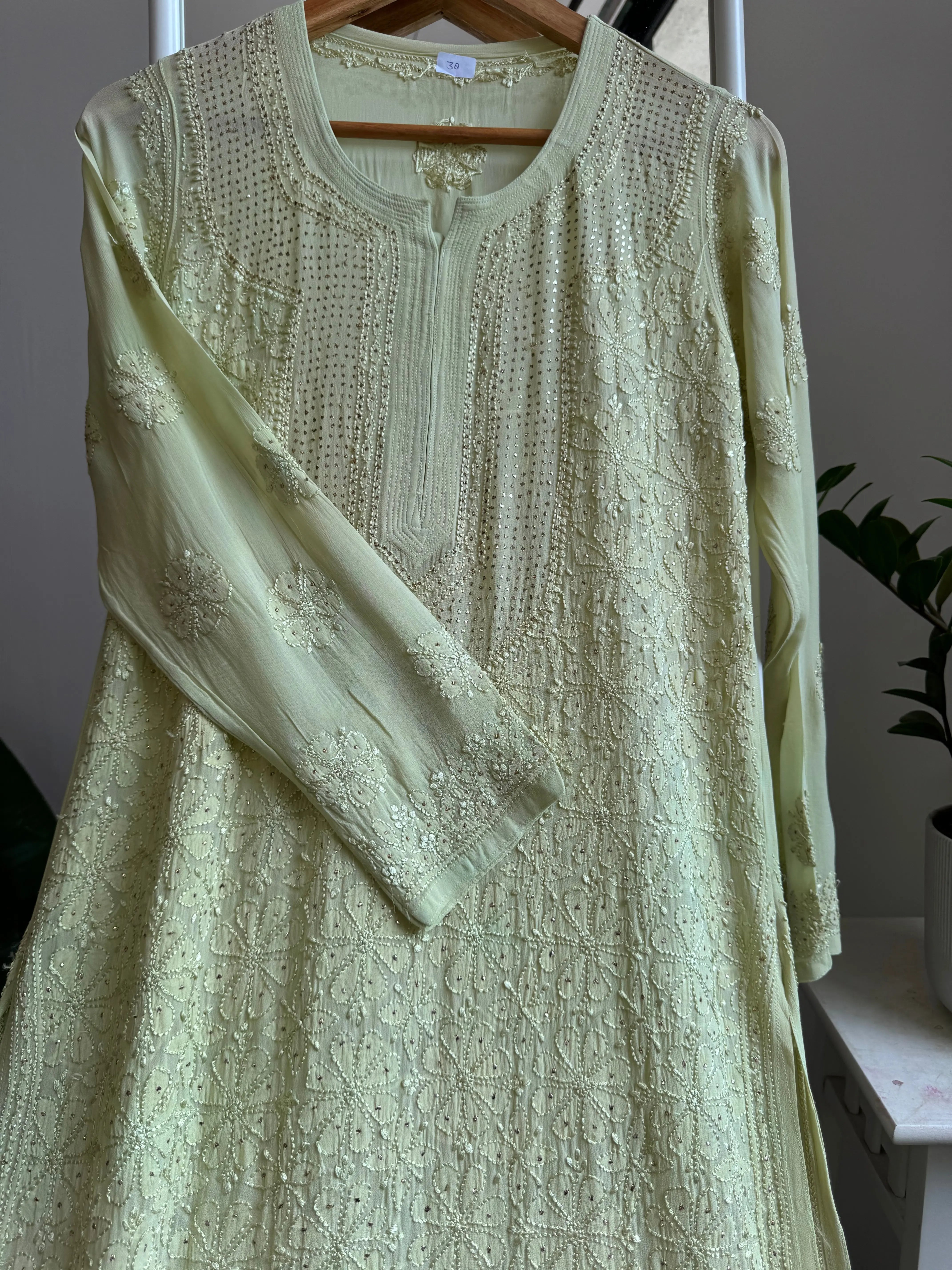 Viscose Kurti with Mukaish Work - Light Green ARIAA CHIKANKARI 