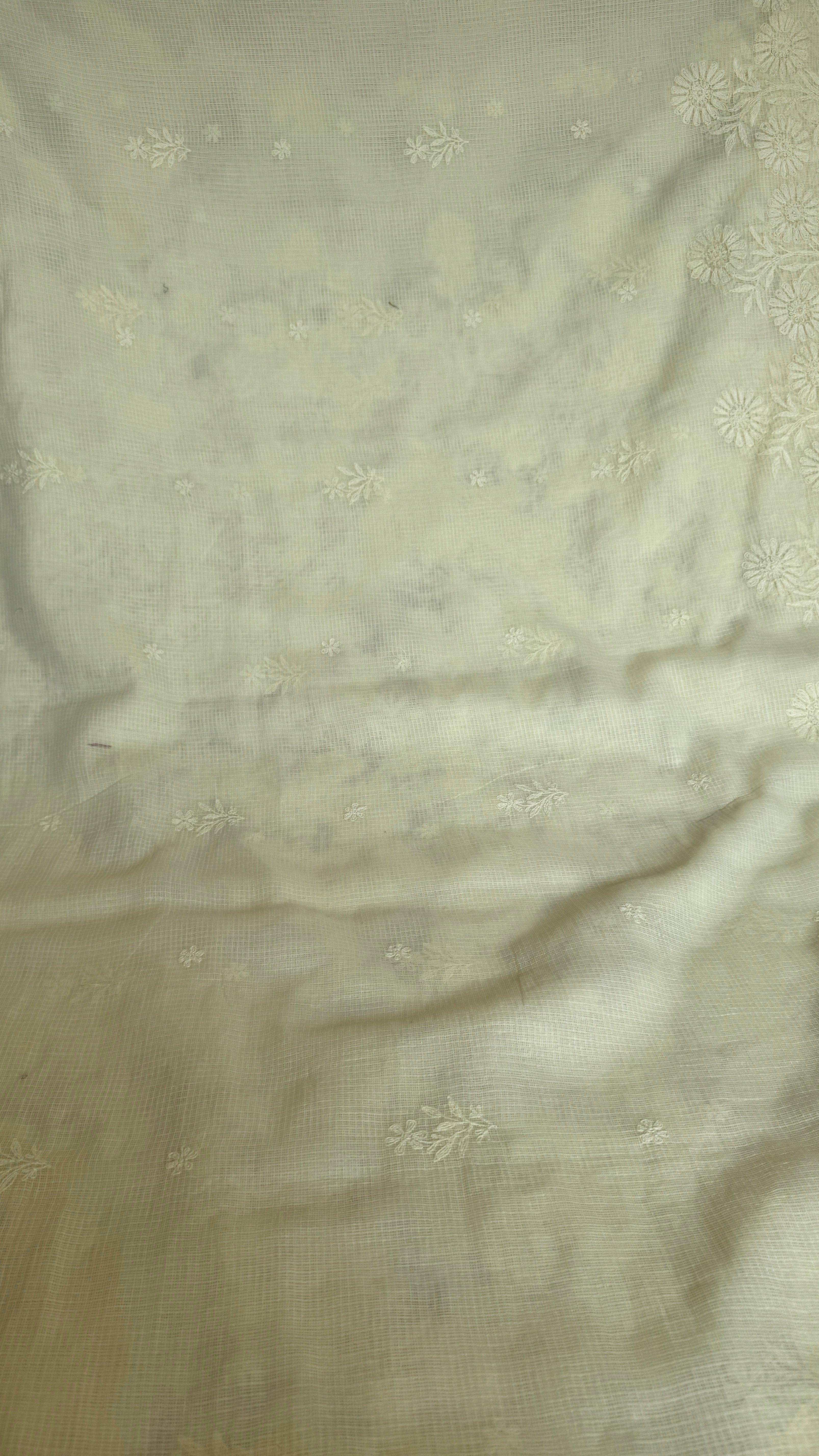 Kota Chikankari saree in Light Yellow