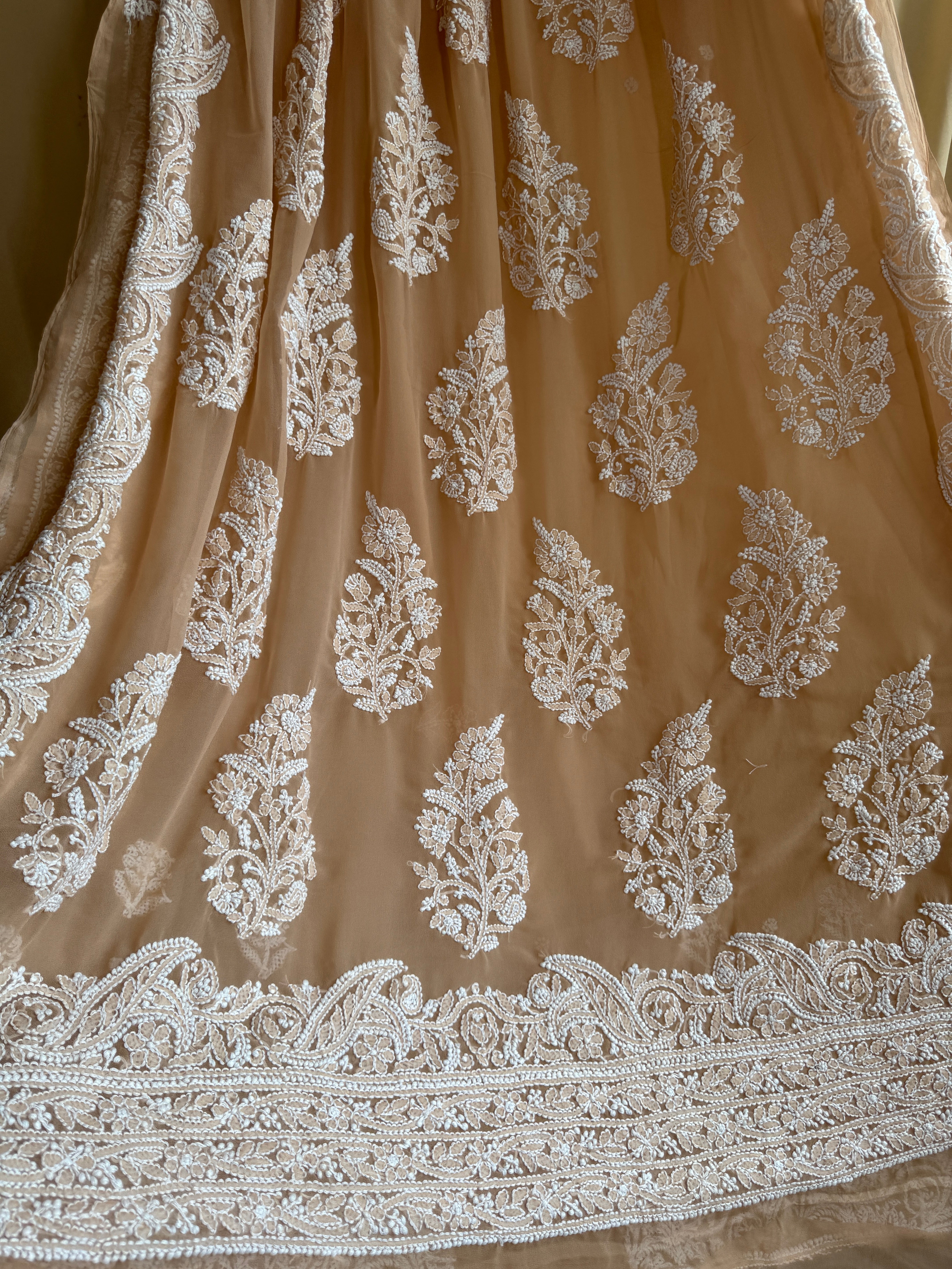 Georgette Chikankari saree in Beige ARIAA CHIKANKARI 