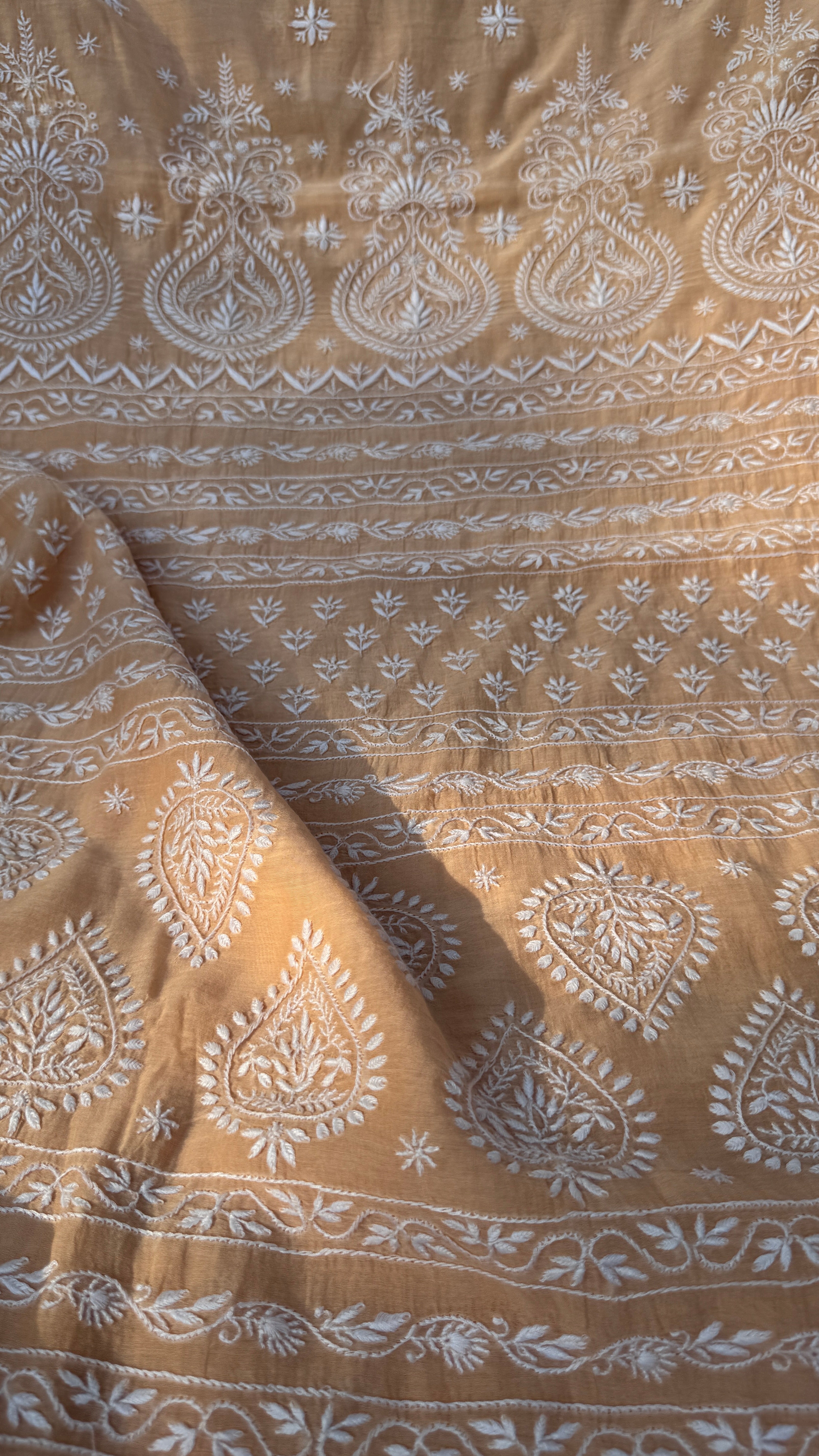 Pure Mul Chanderi Chikankari saree in Beige