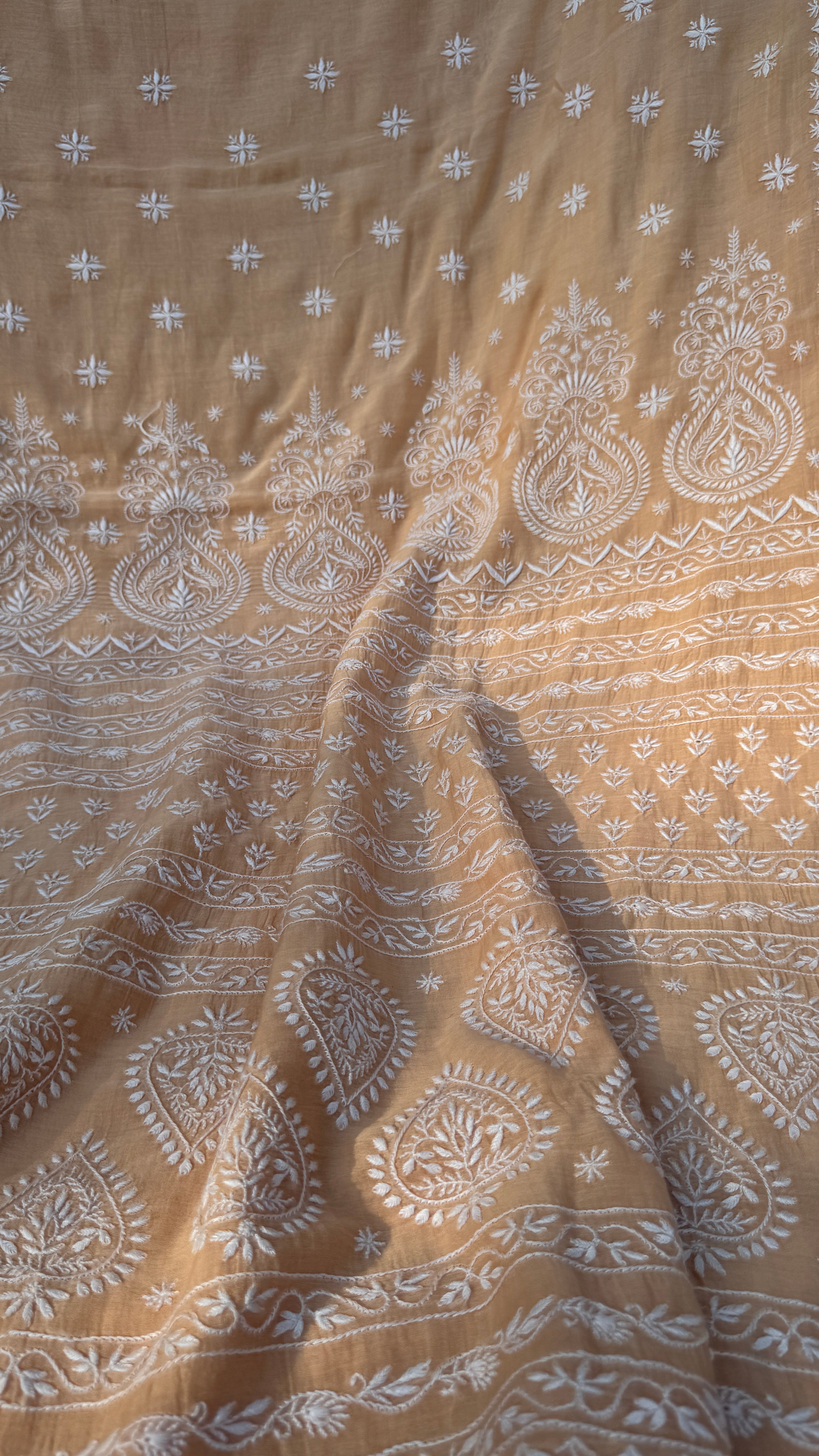 Pure Mul Chanderi Chikankari saree in Beige