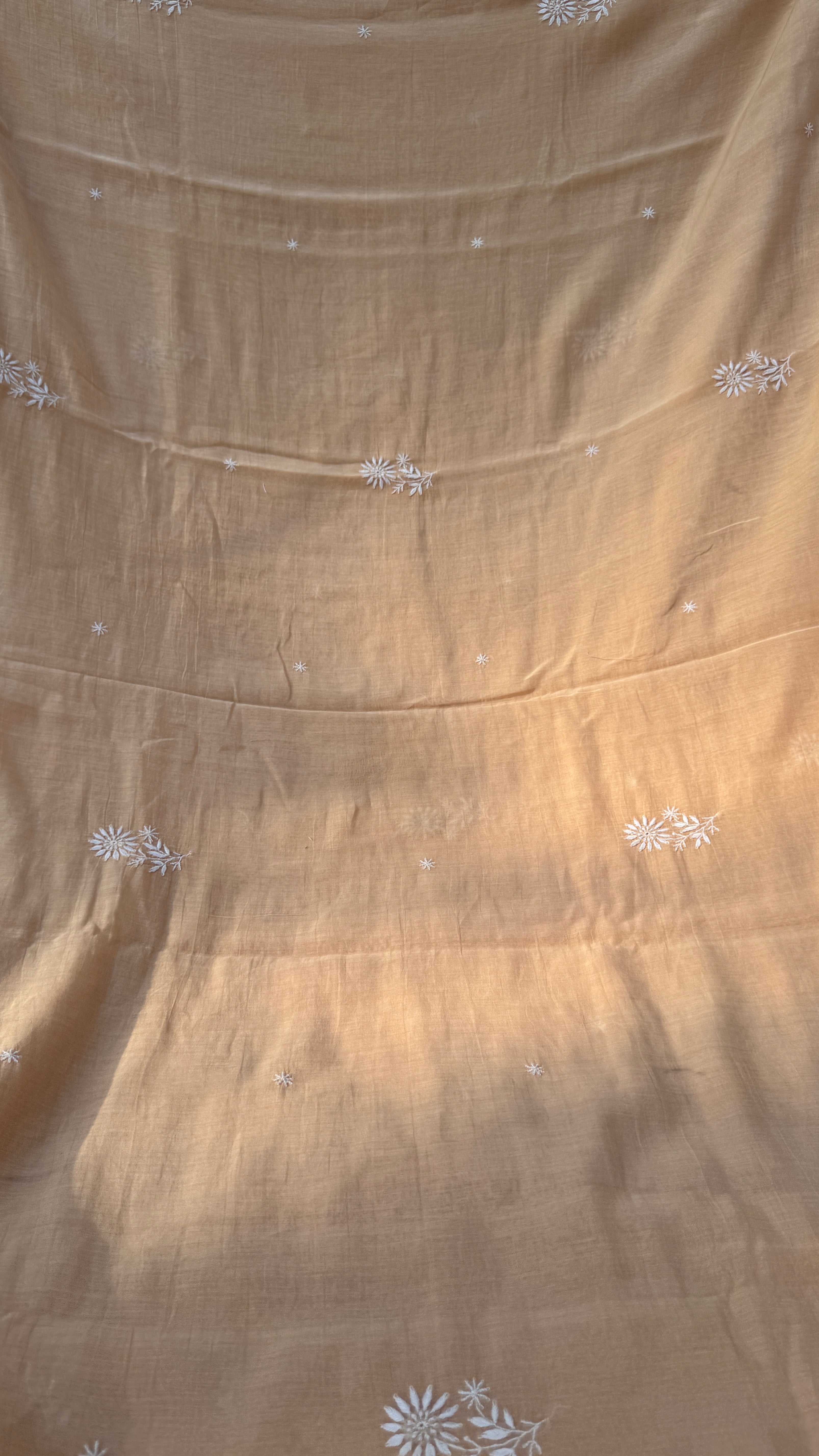 Pure Mul Chanderi Chikankari saree in Beige