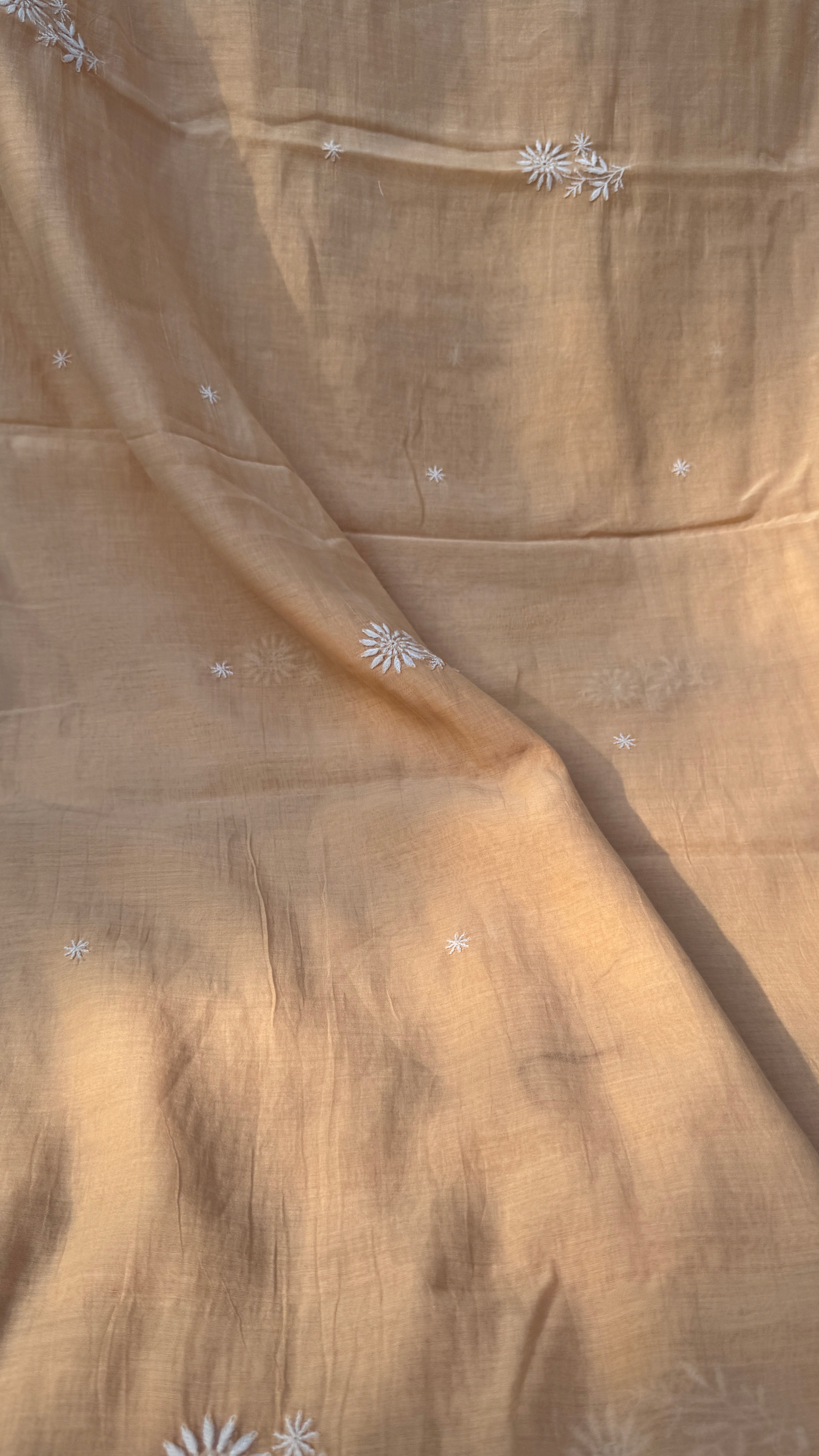 Pure Mul Chanderi Chikankari saree in Beige