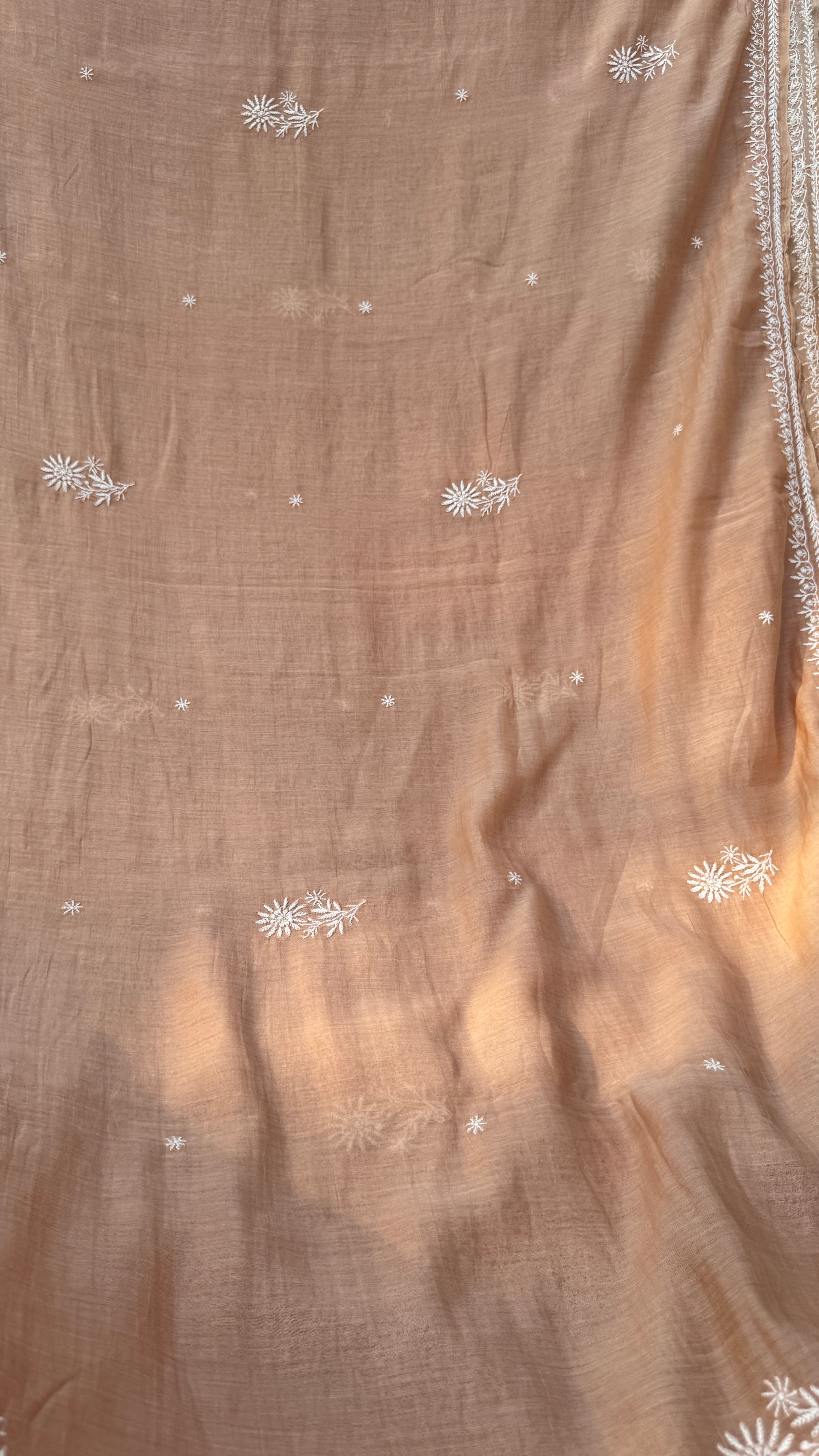 Pure Mul Chanderi Chikankari saree in Brown