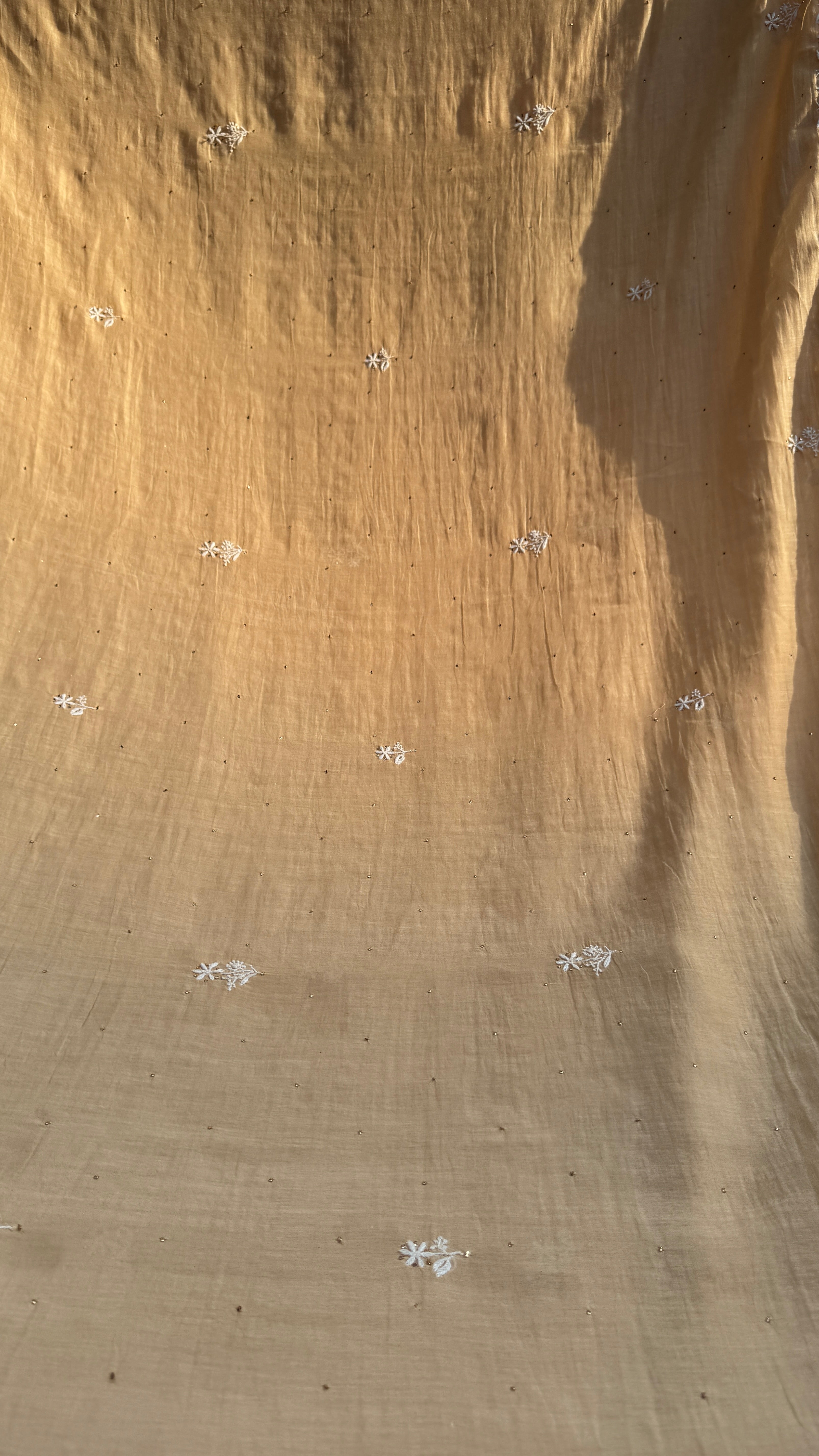 Pure Mul Chanderi Chikankari saree in Beige with Mukaish work