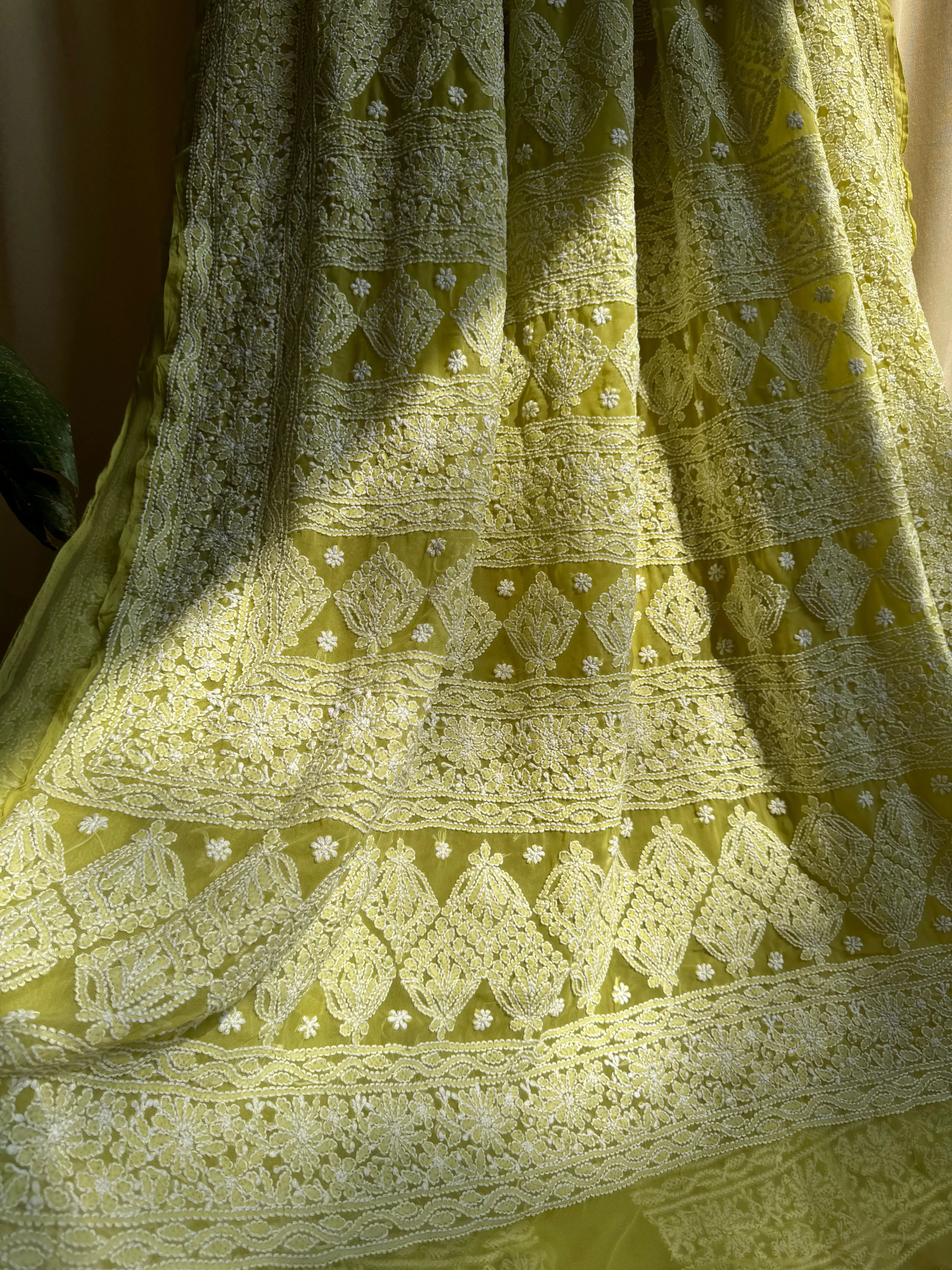 Georgette Chikankari saree in Mehndi Green ARIAA CHIKANKARI 