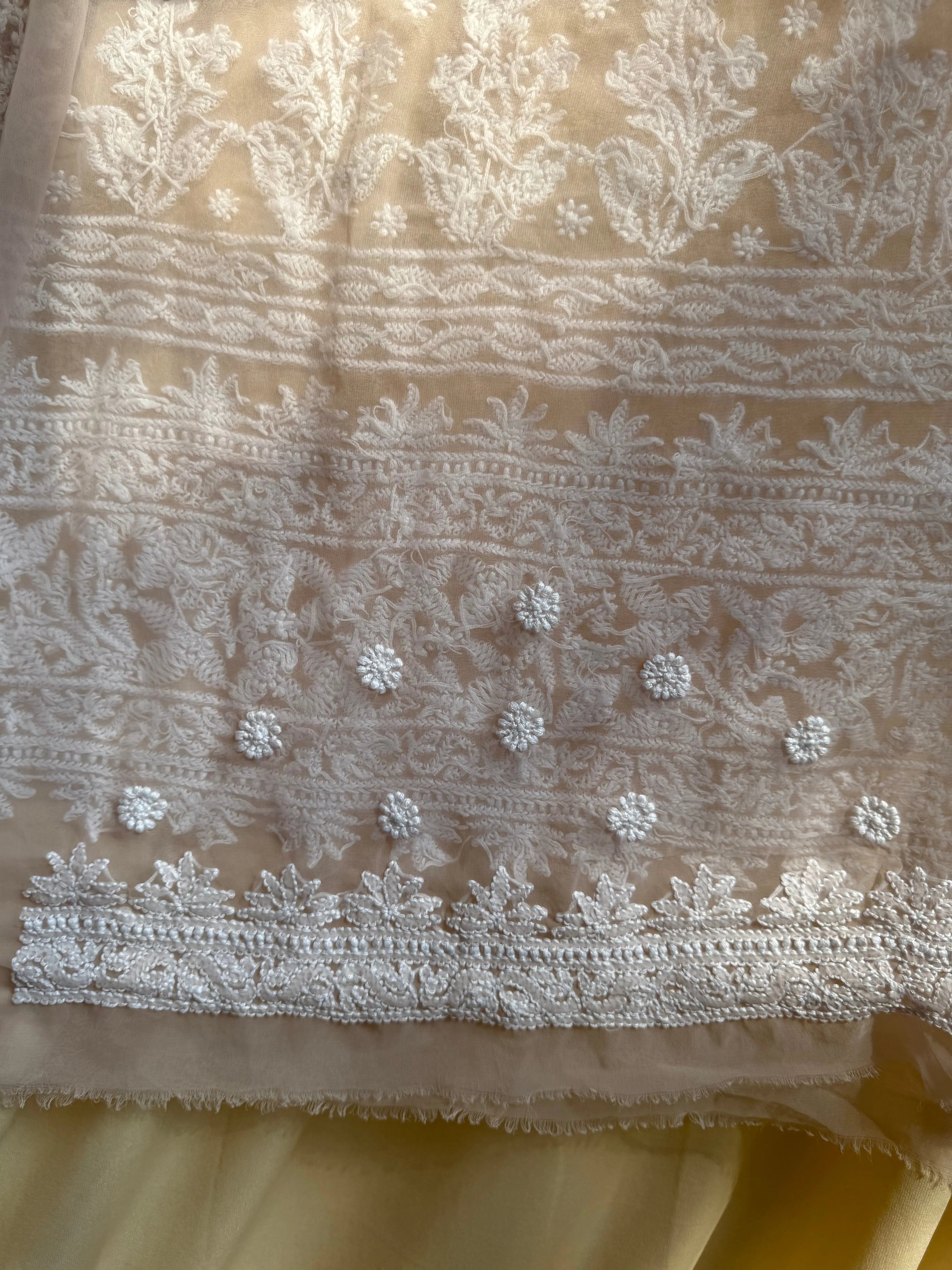 Georgette Chikankari saree in Pale Pink ARIAA CHIKANKARI 