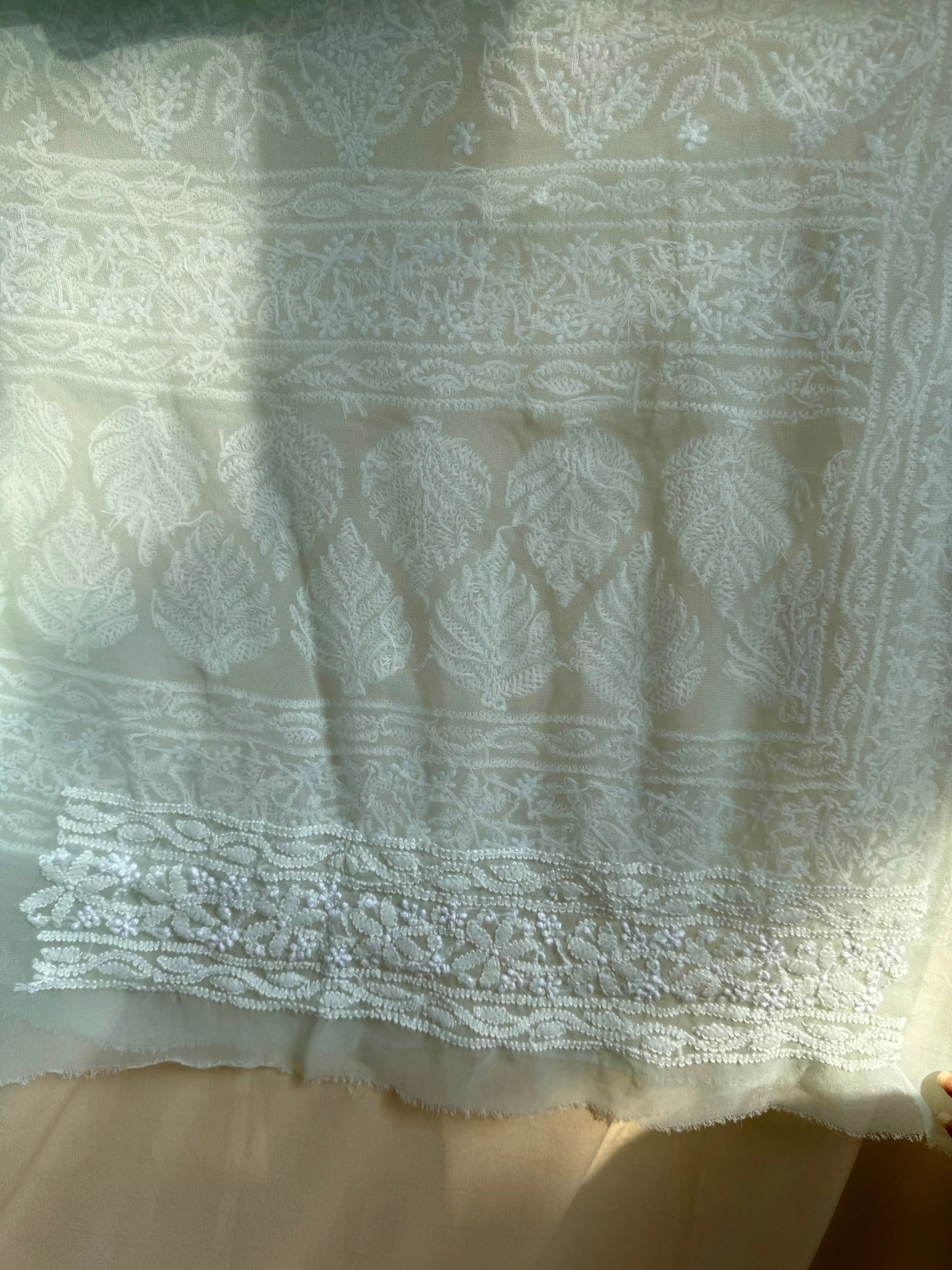 Georgette Chikankari saree in Sea Green ARIAA CHIKANKARI 