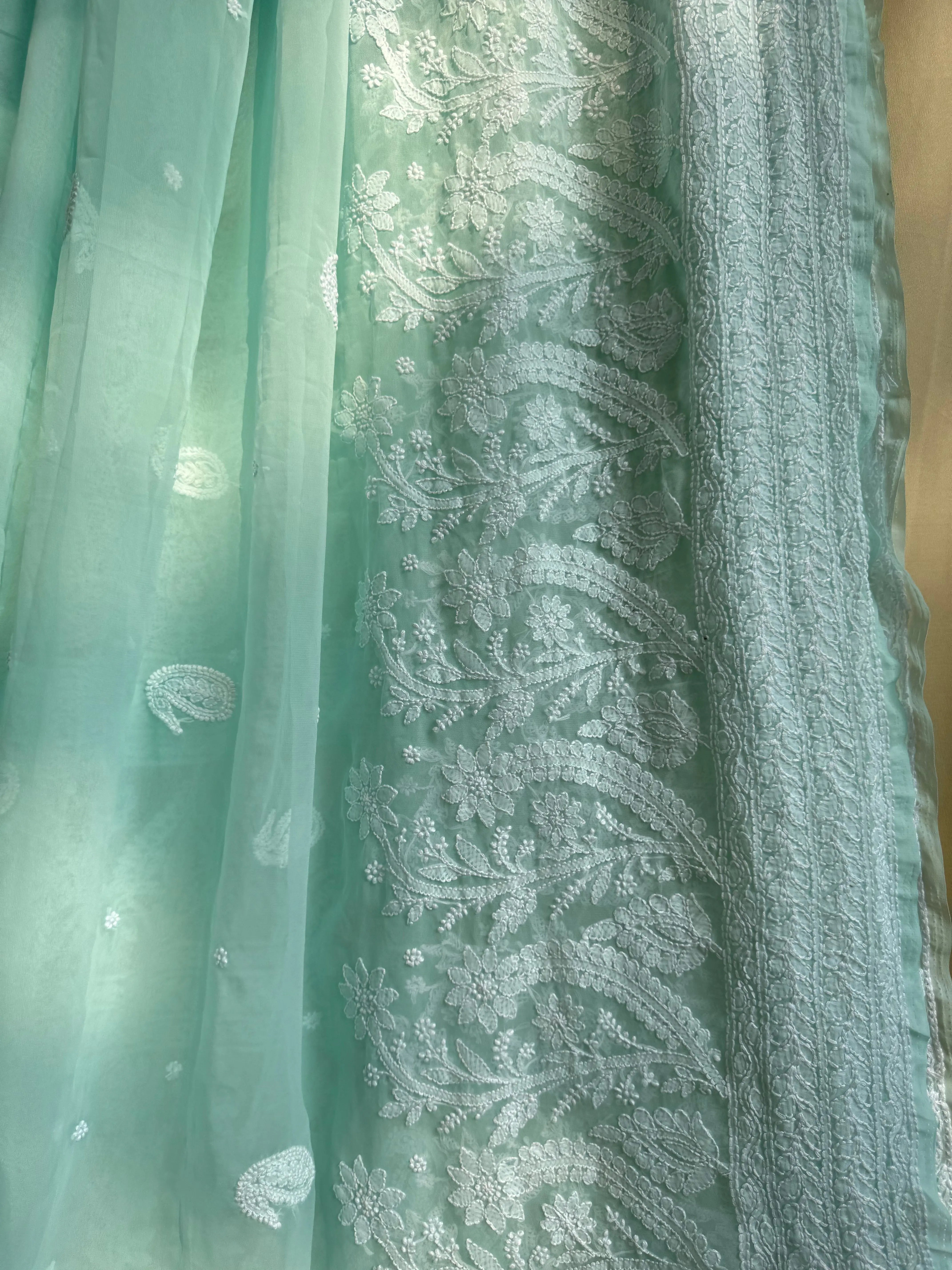 Georgette Chikankari saree in Sea Green ARIAA CHIKANKARI 