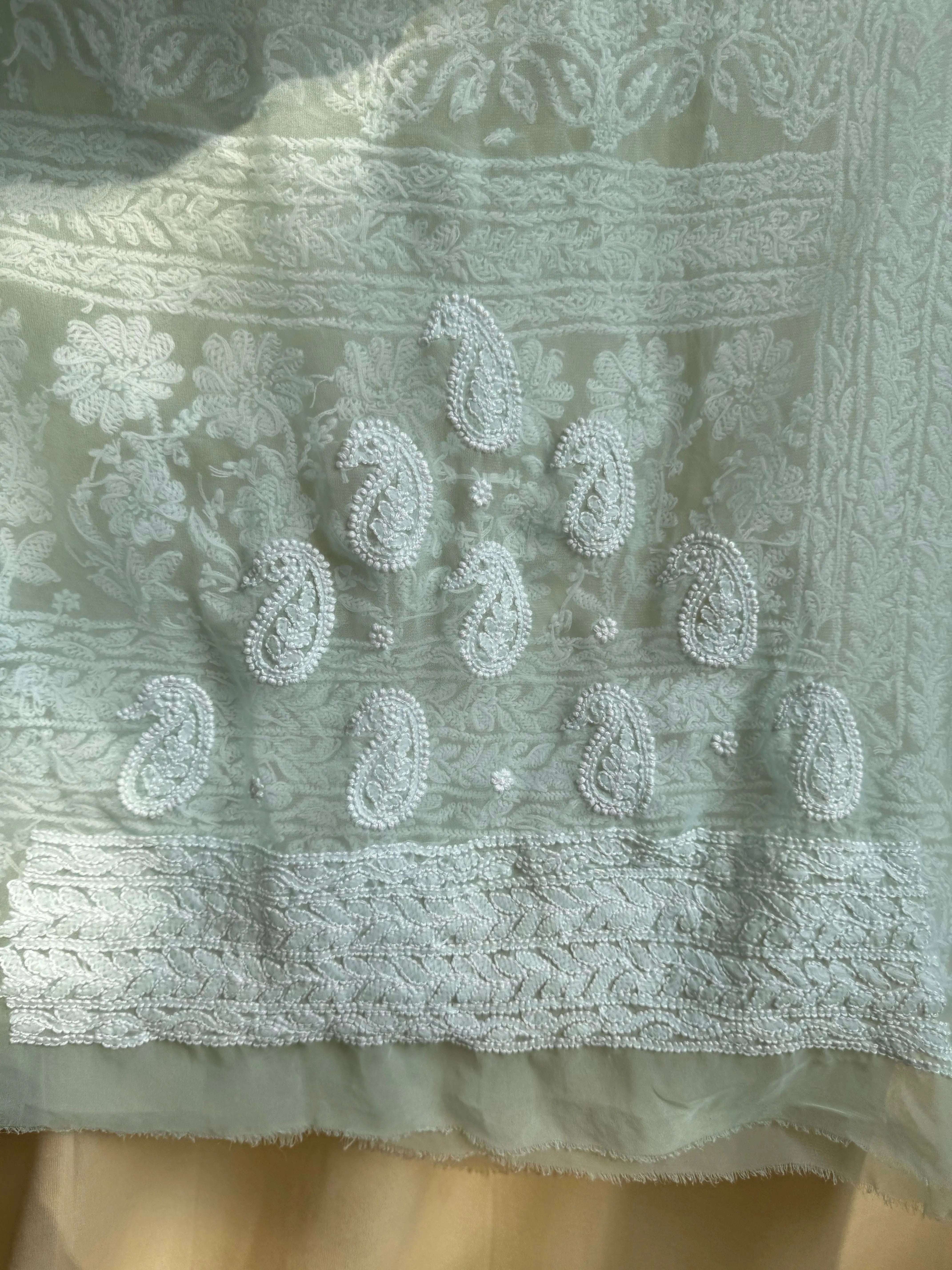 Georgette Chikankari saree in Sea Green ARIAA CHIKANKARI 