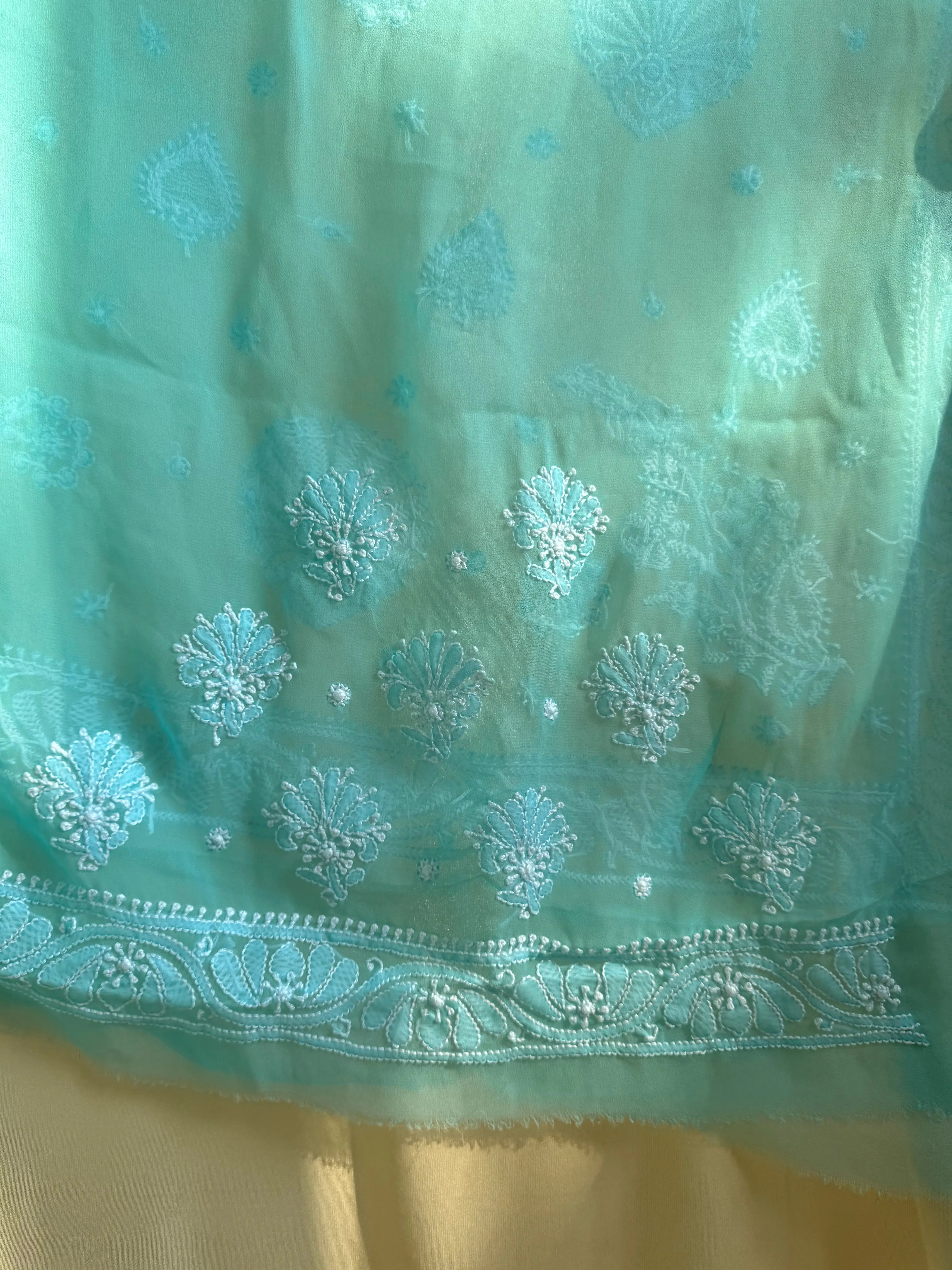 Georgette Chikankari saree in Sea Green ARIAA CHIKANKARI 