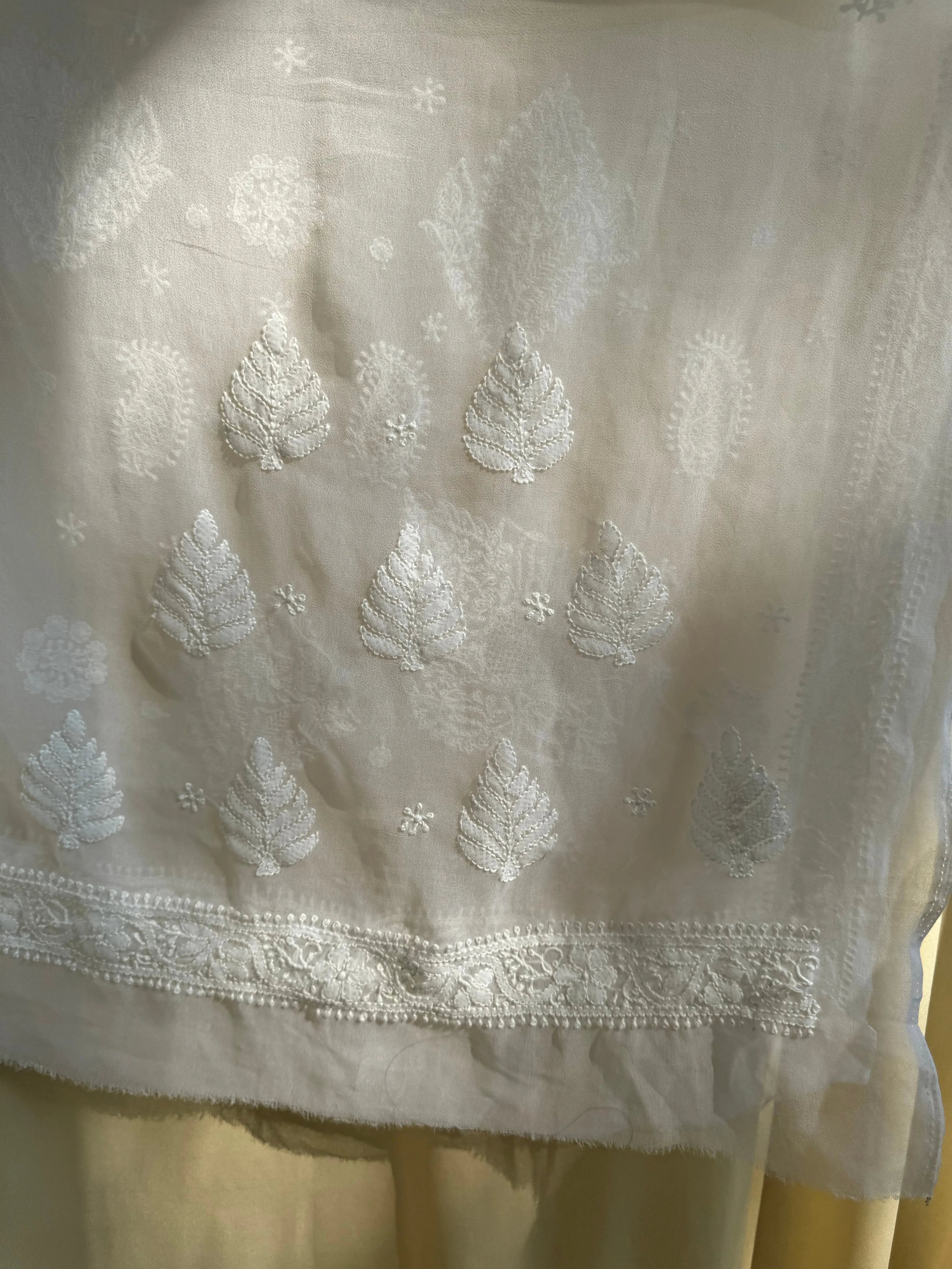 Georgette Chikankari saree in White ARIAA CHIKANKARI 