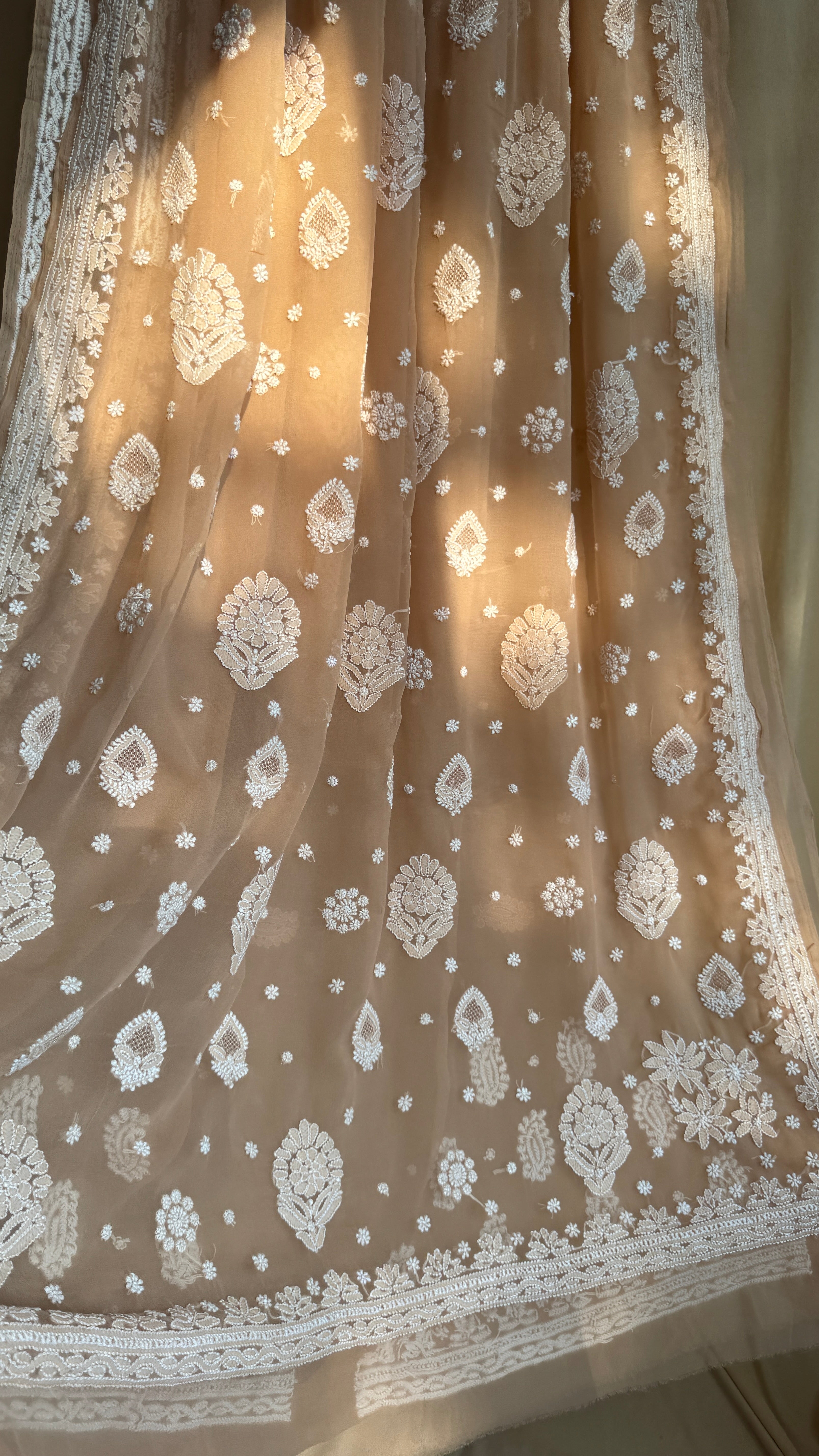 Georgette Chikankari saree in Soft Brown