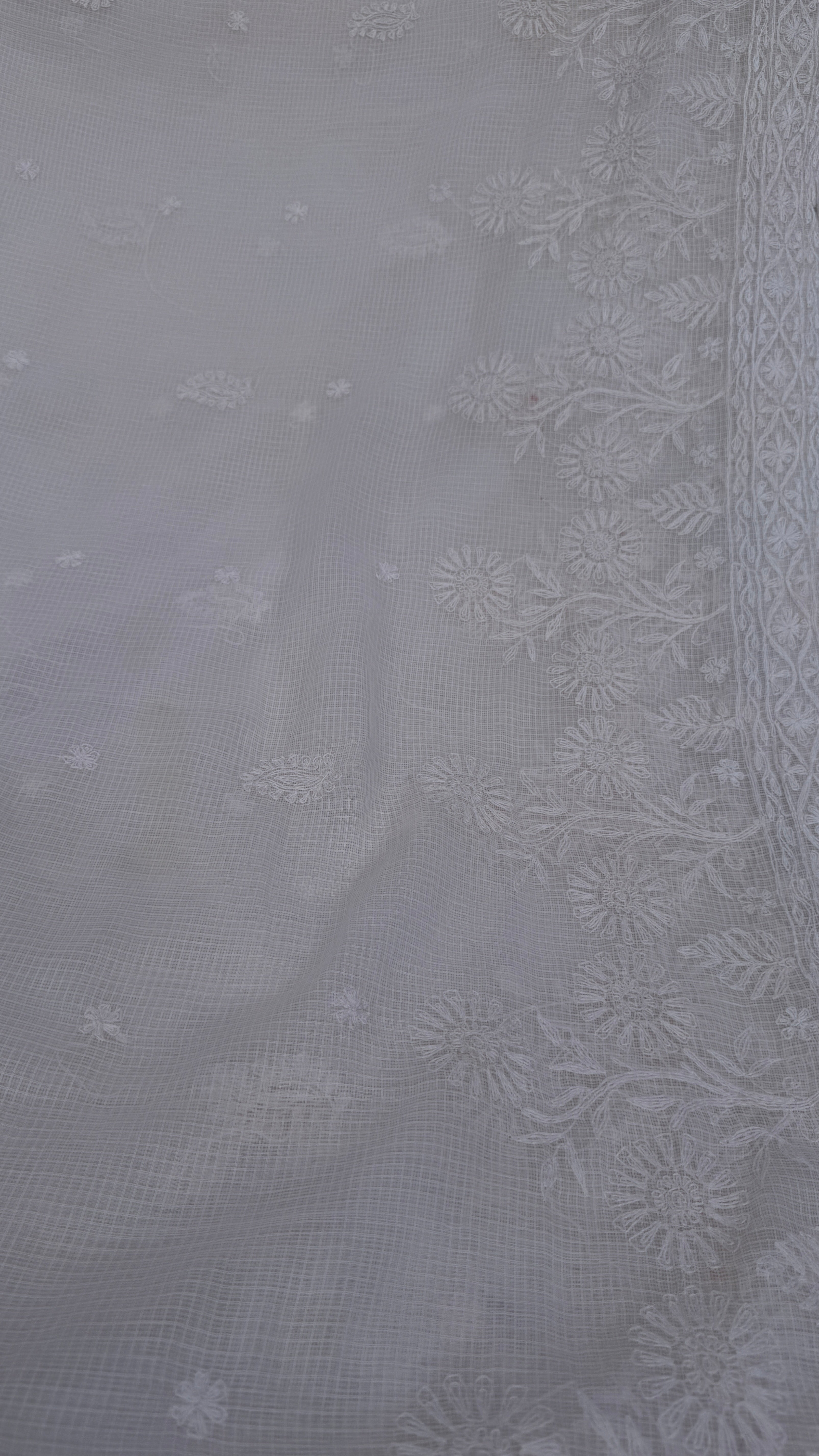 Kota Chikankari saree in  pale pink