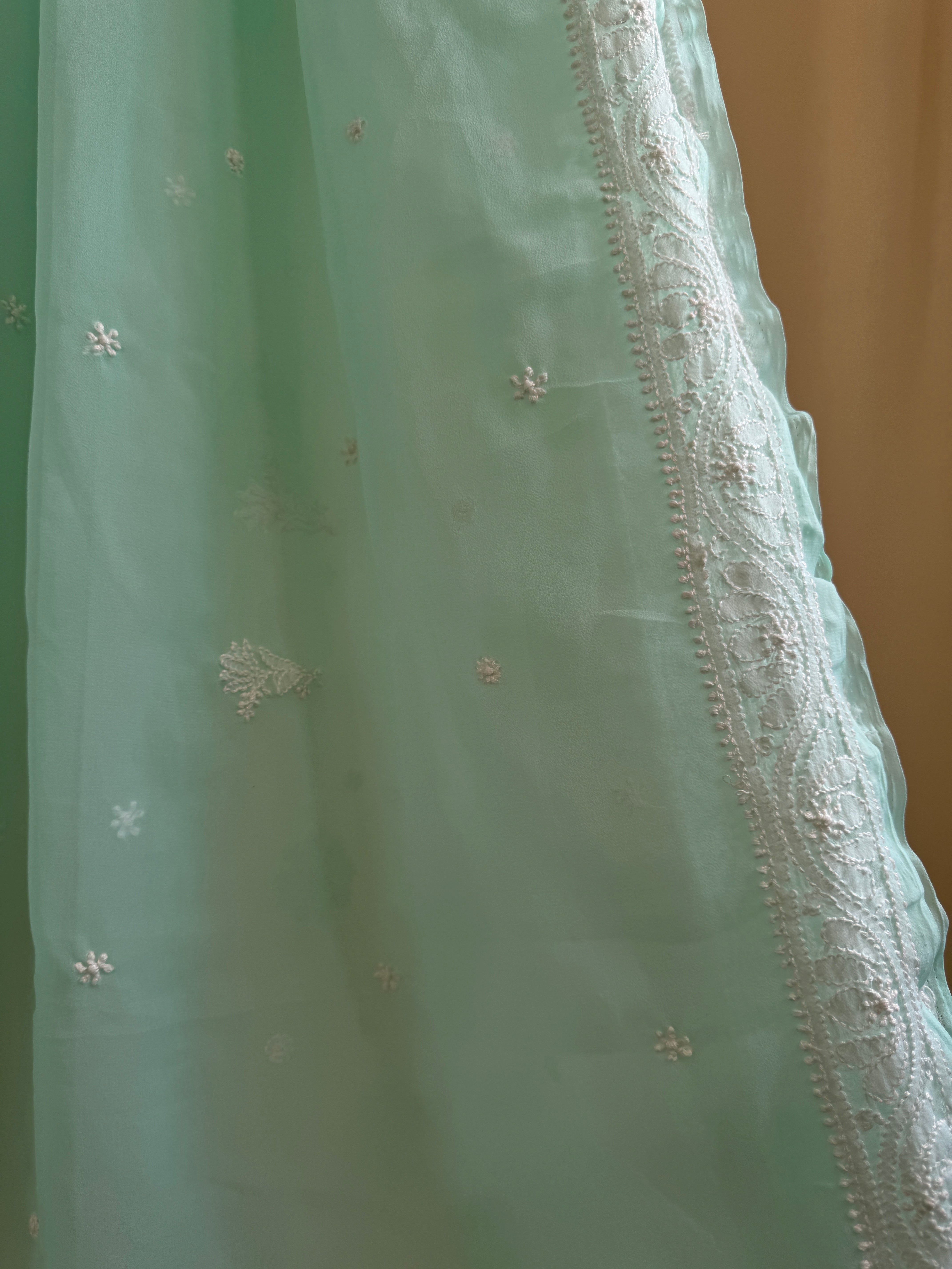 Georgette Chikankari saree in Green