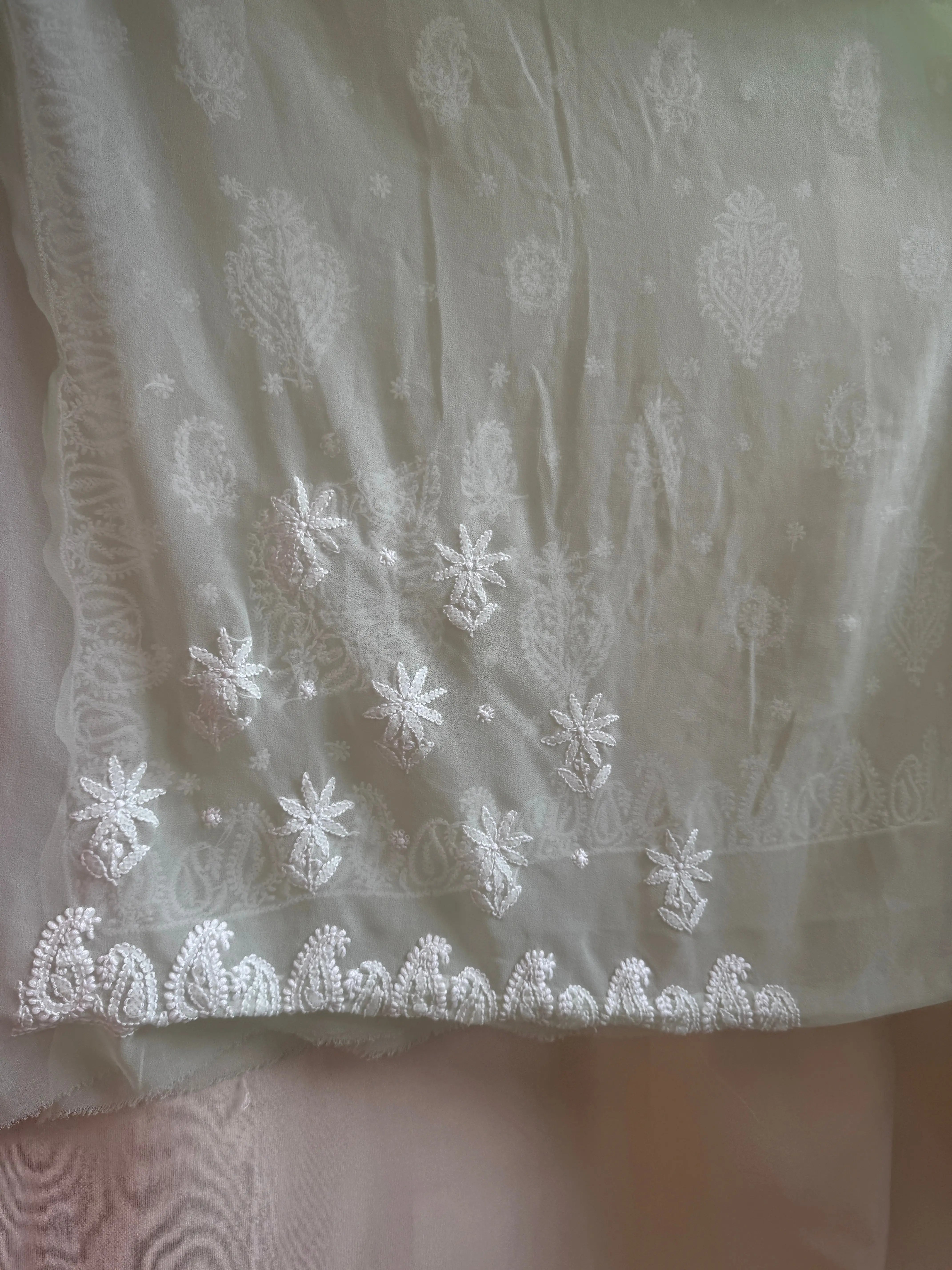 Georgette Chikankari saree in Pista Green ARIAA CHIKANKARI 