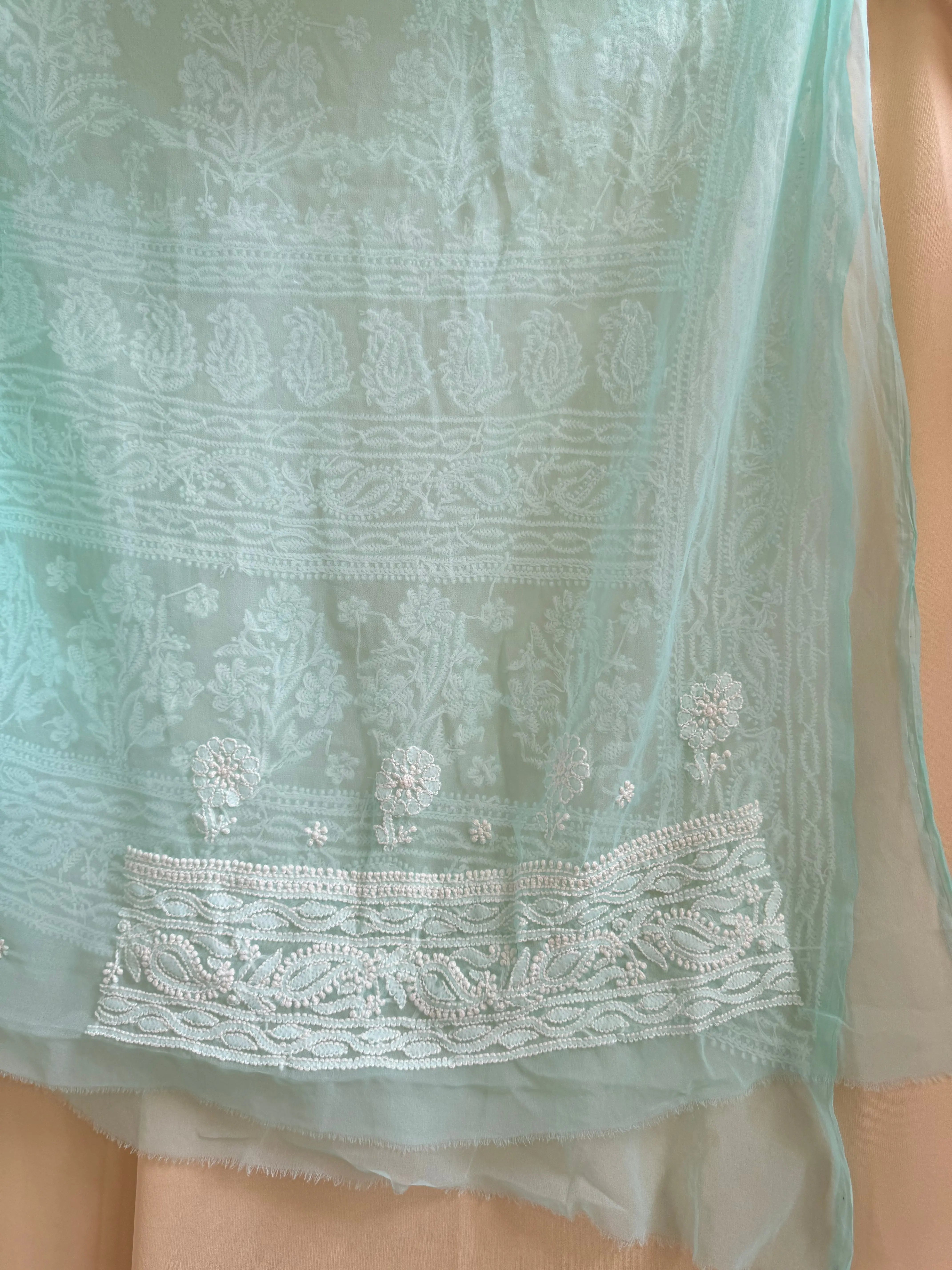 Georgette Chikankari saree in Sea Green ARIAA CHIKANKARI 