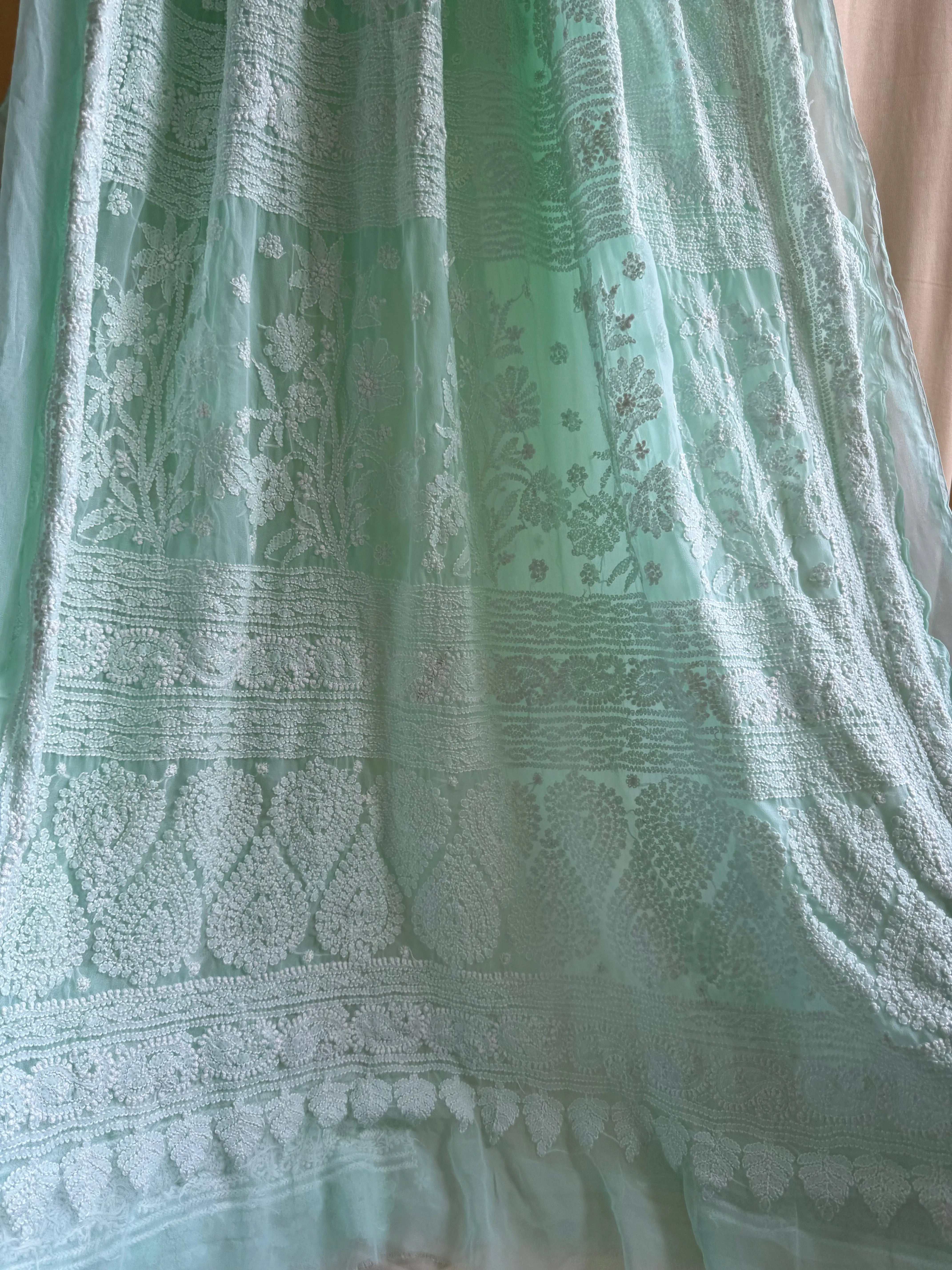 Georgette Chikankari saree in Sea Green ARIAA CHIKANKARI 