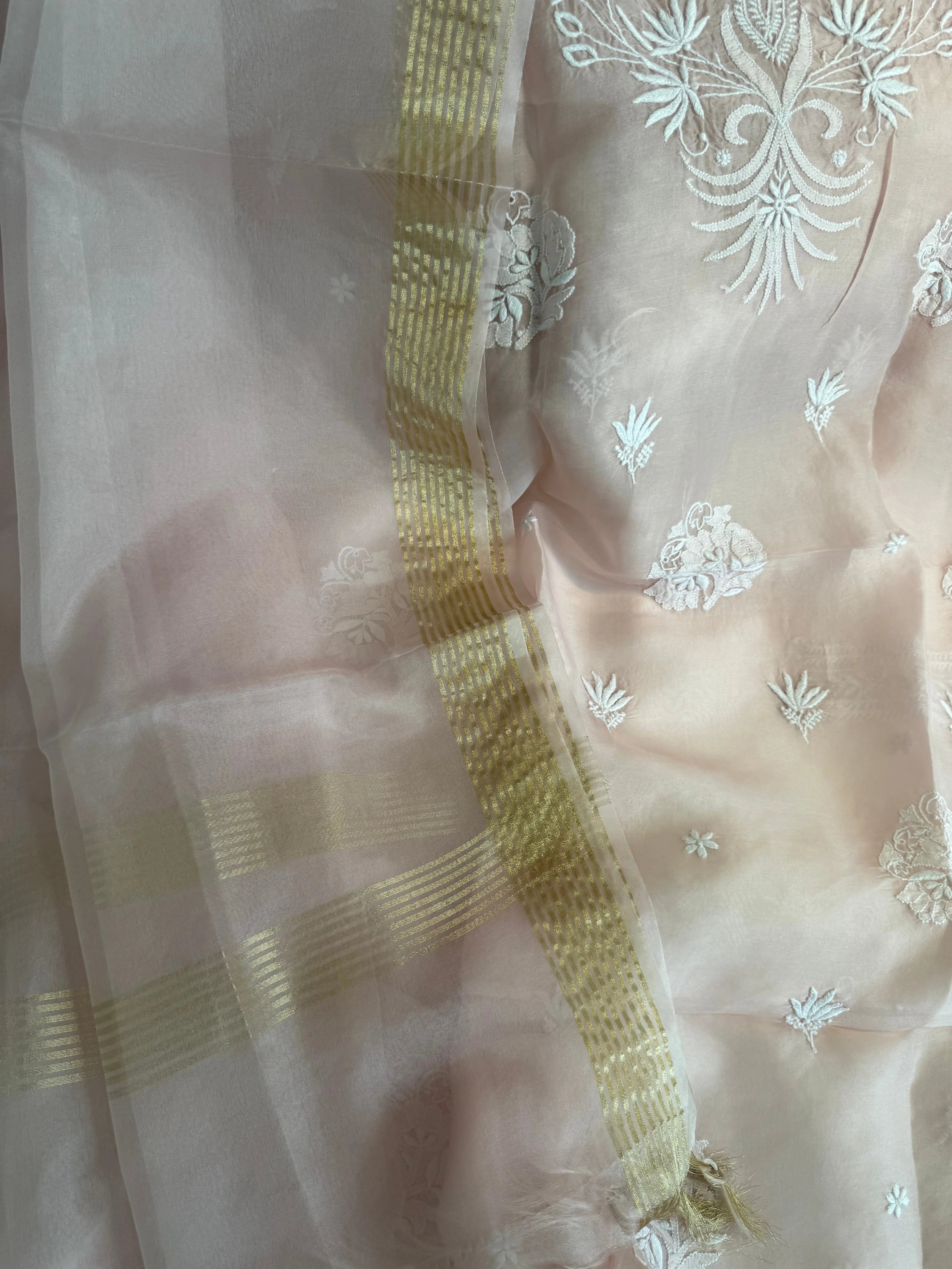 Organza Length with Dupatta - Pink ARIAA CHIKANKARI 