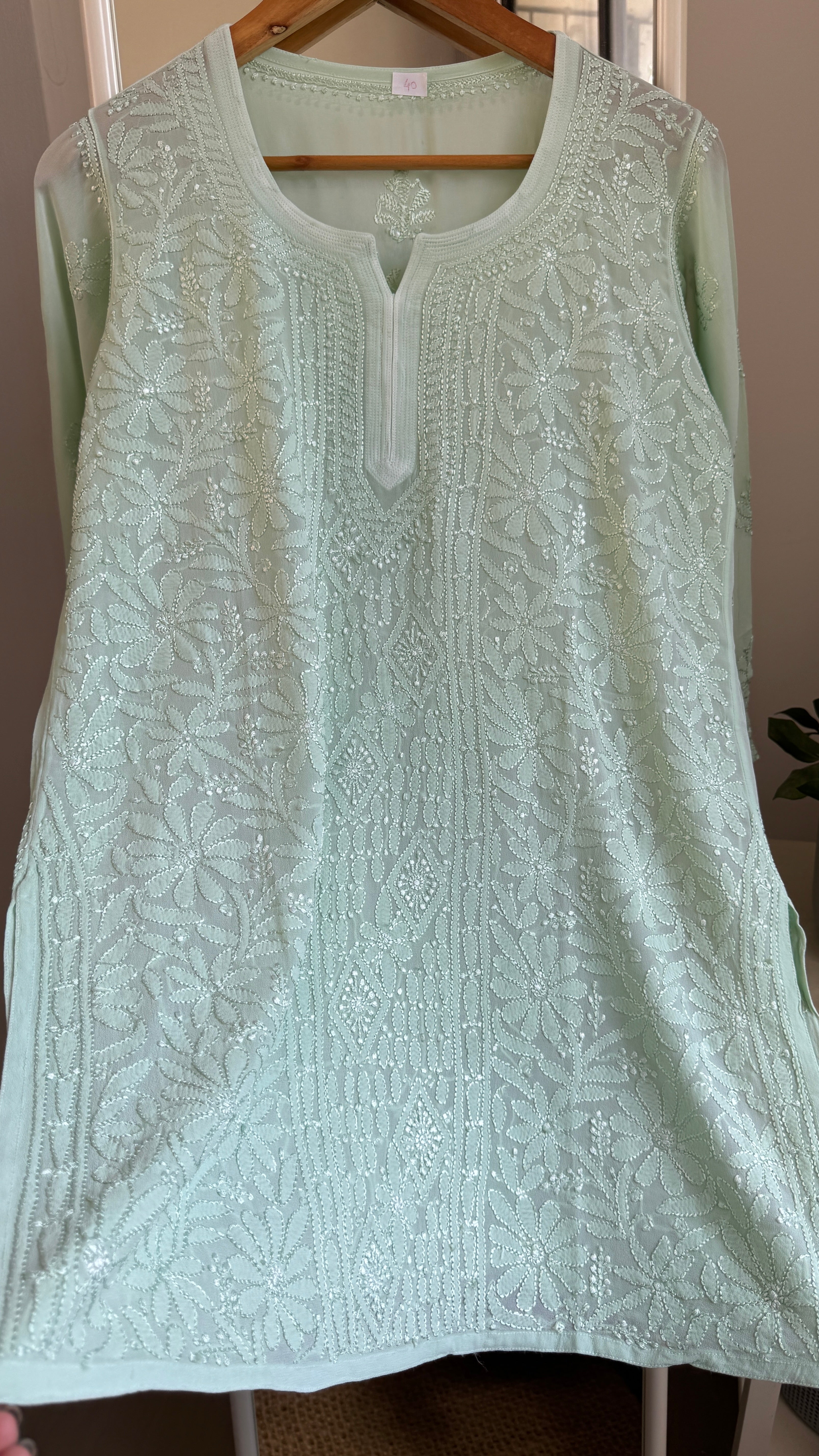 Chikankari Viscose Georgette short Top in Light green