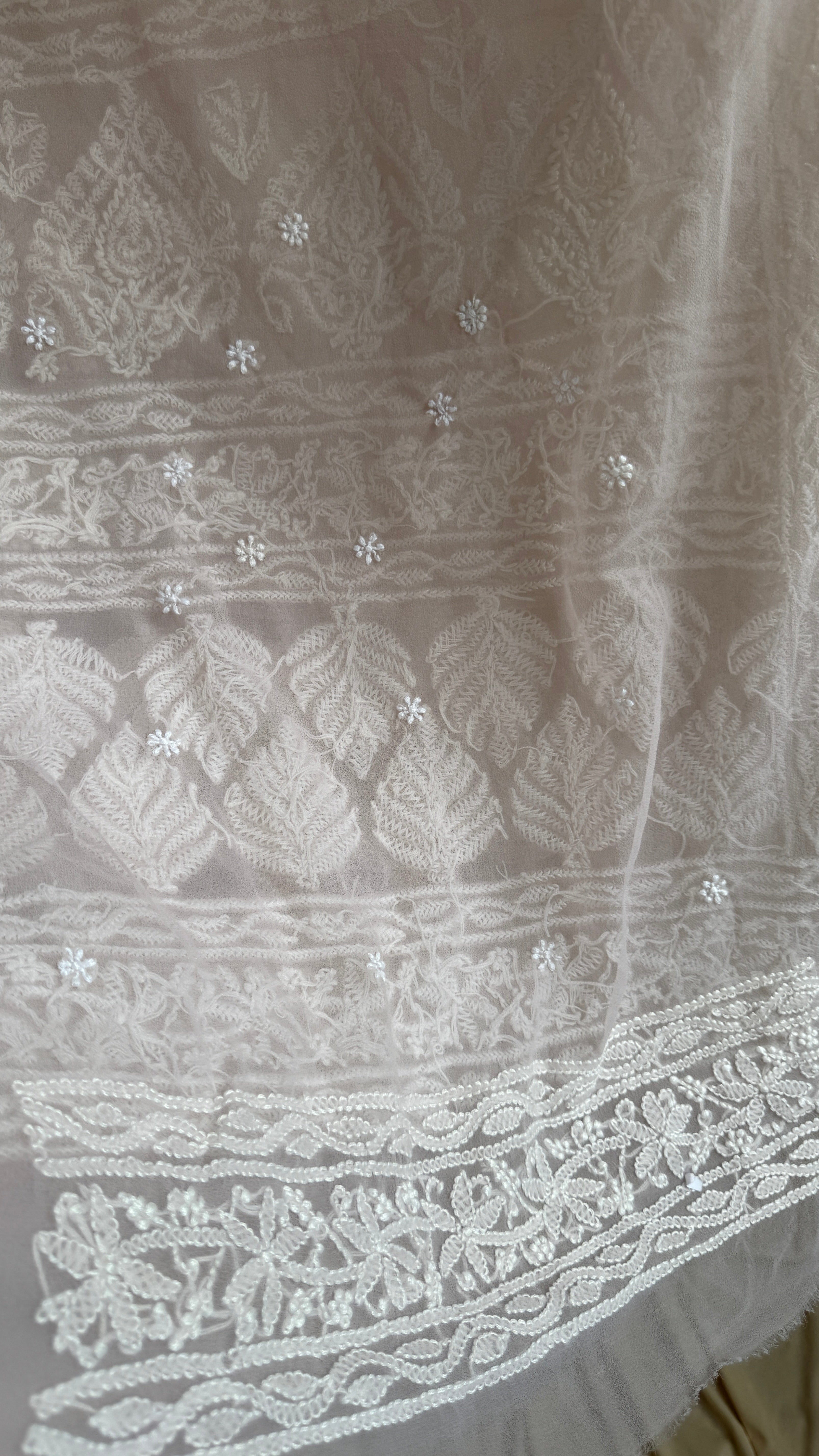 Georgette Chikankari saree in Fawn